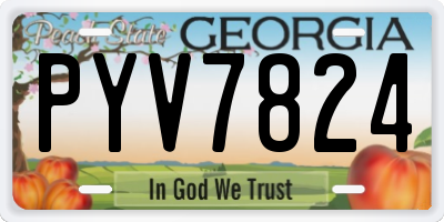 GA license plate PYV7824
