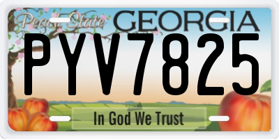 GA license plate PYV7825
