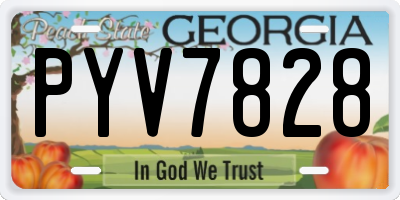 GA license plate PYV7828