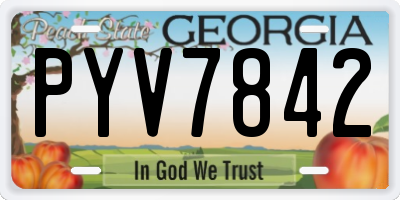 GA license plate PYV7842