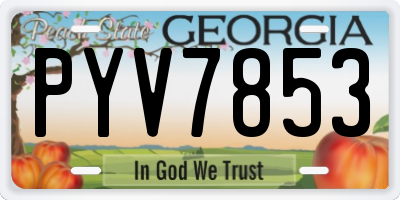 GA license plate PYV7853