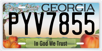 GA license plate PYV7855