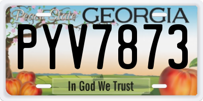 GA license plate PYV7873