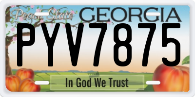 GA license plate PYV7875