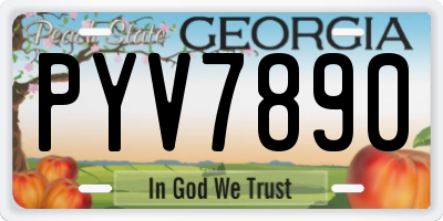 GA license plate PYV7890