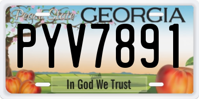 GA license plate PYV7891