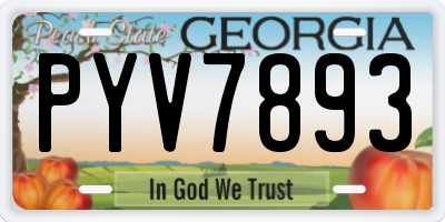 GA license plate PYV7893