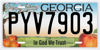 GA license plate PYV7903