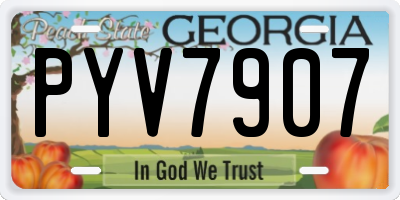 GA license plate PYV7907