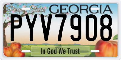GA license plate PYV7908