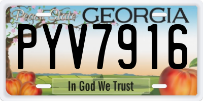 GA license plate PYV7916