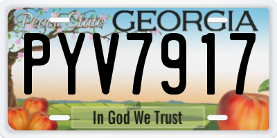 GA license plate PYV7917