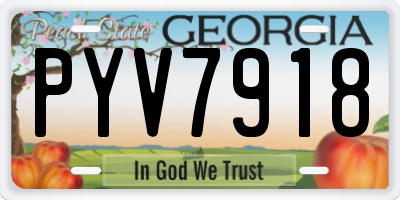 GA license plate PYV7918