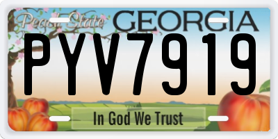 GA license plate PYV7919
