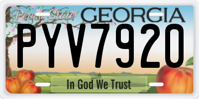GA license plate PYV7920