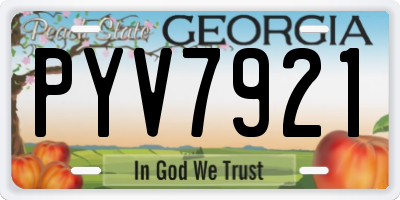 GA license plate PYV7921