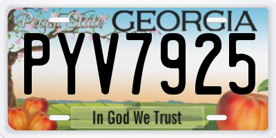 GA license plate PYV7925