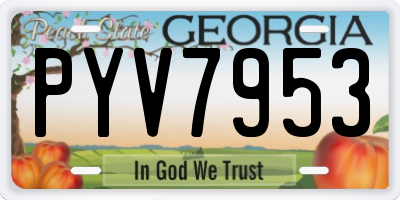 GA license plate PYV7953