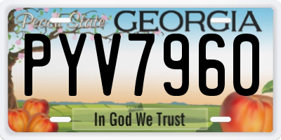 GA license plate PYV7960