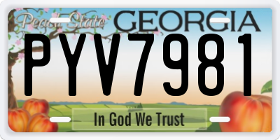 GA license plate PYV7981