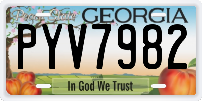 GA license plate PYV7982