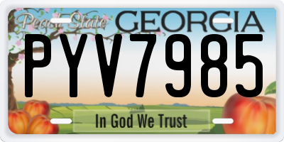 GA license plate PYV7985