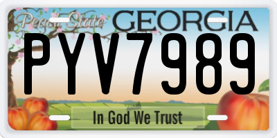 GA license plate PYV7989