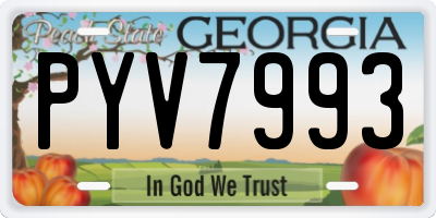 GA license plate PYV7993