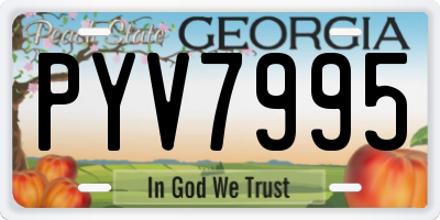 GA license plate PYV7995