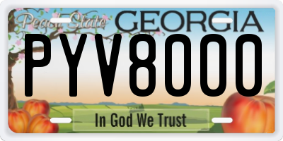 GA license plate PYV8000