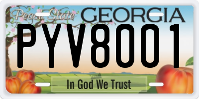 GA license plate PYV8001