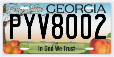 GA license plate PYV8002