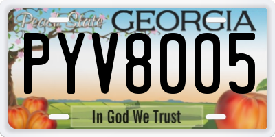 GA license plate PYV8005