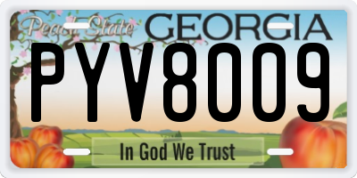 GA license plate PYV8009