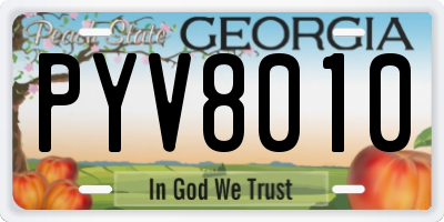 GA license plate PYV8010