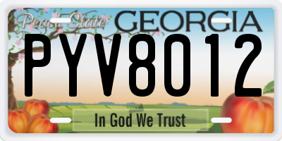 GA license plate PYV8012