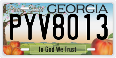 GA license plate PYV8013