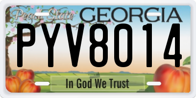 GA license plate PYV8014