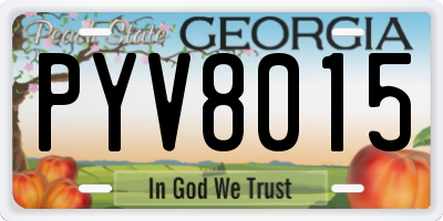 GA license plate PYV8015