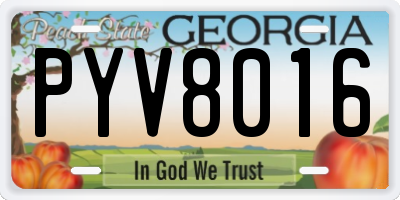 GA license plate PYV8016