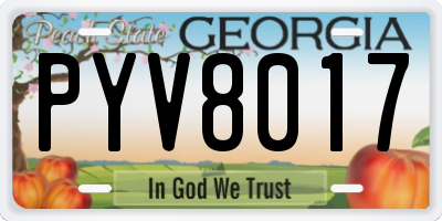 GA license plate PYV8017