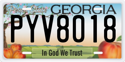GA license plate PYV8018