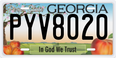 GA license plate PYV8020