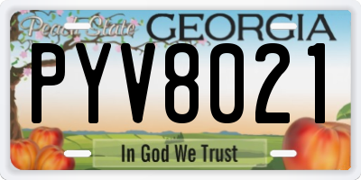 GA license plate PYV8021