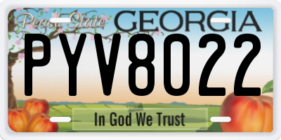 GA license plate PYV8022