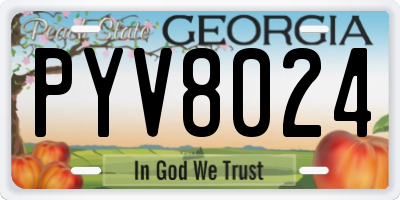 GA license plate PYV8024