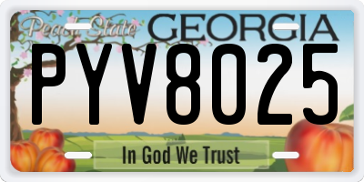 GA license plate PYV8025