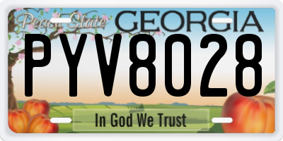GA license plate PYV8028