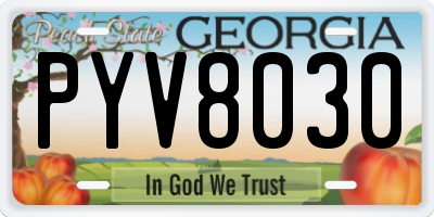 GA license plate PYV8030