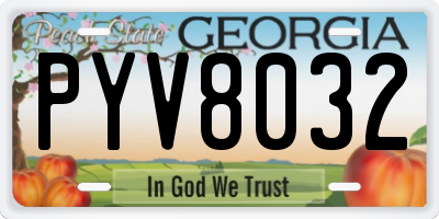 GA license plate PYV8032